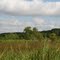 Abbeville, Big Woods Island