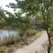 Palmetto Island State Park, Vermilion Parish, Louisiana