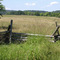 Fence and Field, Valley Forge National Historic Park, Valley Forge, Pennsylvania