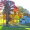 valley forge