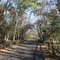 Schuylkill River Trail, Betzwood Picnic area, Valley Forge National Park