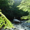 Stowe Stream
