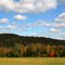 Autumn arriving at Hampshire Hill