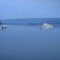 First Light on Hog Island