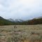 Darkhorse Canyon