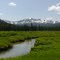 Berry Meadow