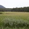 Skinner Meadows-Upper Big Hole River