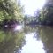 John's River