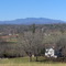 Grandfather Mtn as seen from Tuttle ED. State Forest