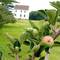 Apples and Revolutionary House