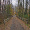 Henry Hudson Trail