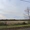 Fields