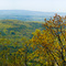 Woodstock Overview