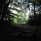 Hiking towards The Light