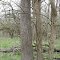 Carlisle Reservation 7
