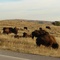 Wichita Mountains   Wildlife Refuge, OK