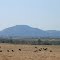 Wichita Mountains Wildlife Refuge