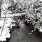 SNOWY CREEK, BETHEL HEIGHTS RD