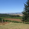 Yamhill County, OR