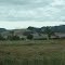 viña en mcminnville, oregón