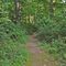 Maplewood Park