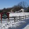 White Pine Farm