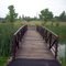 Hansell Pond