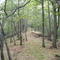 Tuscarora Trail al