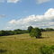 Bush River Community creek bottom pastoral scene