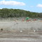 YO Ranch Shooting Range 2008