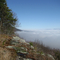 Fredonia Mountain, TN