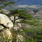 Picnic Rock, Dunlap view