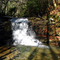 Forest waterfall