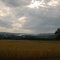 AFTER THE RAIN