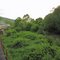 Traveling on the Tioga Central Railroad