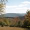 Ives Run Mt. from Mid State Trail near Tioga, PA