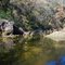 Barton Creek after rain
