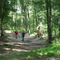 Woodland