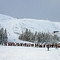 Trysil Hesten