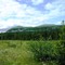 Trysilfjällen