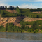 Columbia River and Orchards from 300 Area