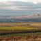 Columbia River, Richland from Sagemoor Hill