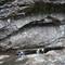 Canyoning 2
