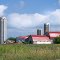Country Farm with red top barns
