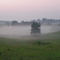 Fog in the Valley