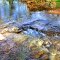 Cooper Creek