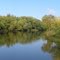 Rum River