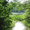 Wilze lake