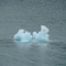 Mini Iceberg