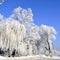 Kraków ul. Narcyza Wiatra - winter
